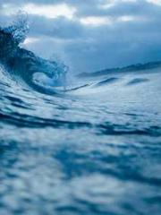 Rong Zhao, male, Nin