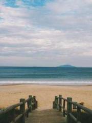 The Return of the Go