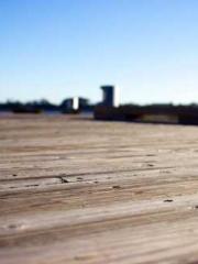 The Wife of My Heart