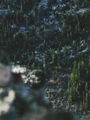 Rong Shao Nan Ning Y