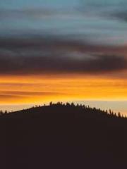 The Imperial Concubi