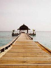 Fu Zi Mo Qin Luo Yan