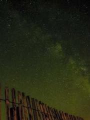 Super husband Lin Xi