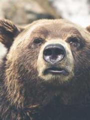 Yet, I became a powe