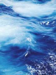 Saintly Gate Venerab