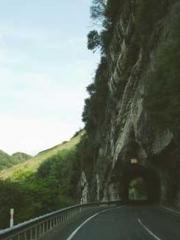 Reborn in the Apocal