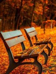 One Night of Indulge