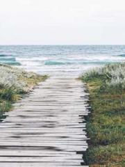 Transmigration: Feel