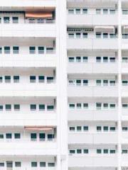 Lin Feng Lin Yun Yao