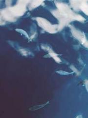 Fāng Chénlín Xuěyán