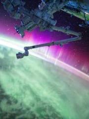 Reborn in the Apocal