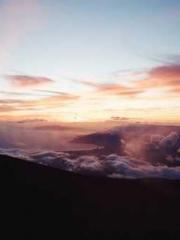 A Lifetime of Captiv