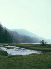 Transmigration: Feel