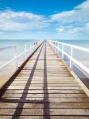 Two Treasures Arrive