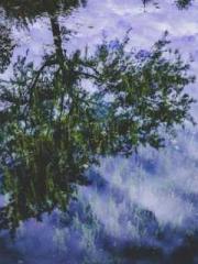 King of Nine Profoun