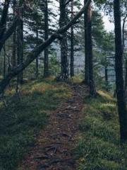 The Undefeated Son-i