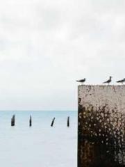 Celestial Eye: Peerl